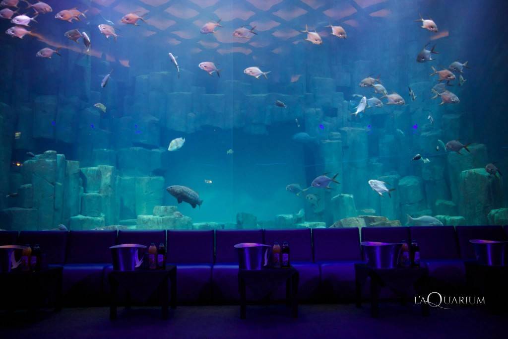 Aquarium de Paris