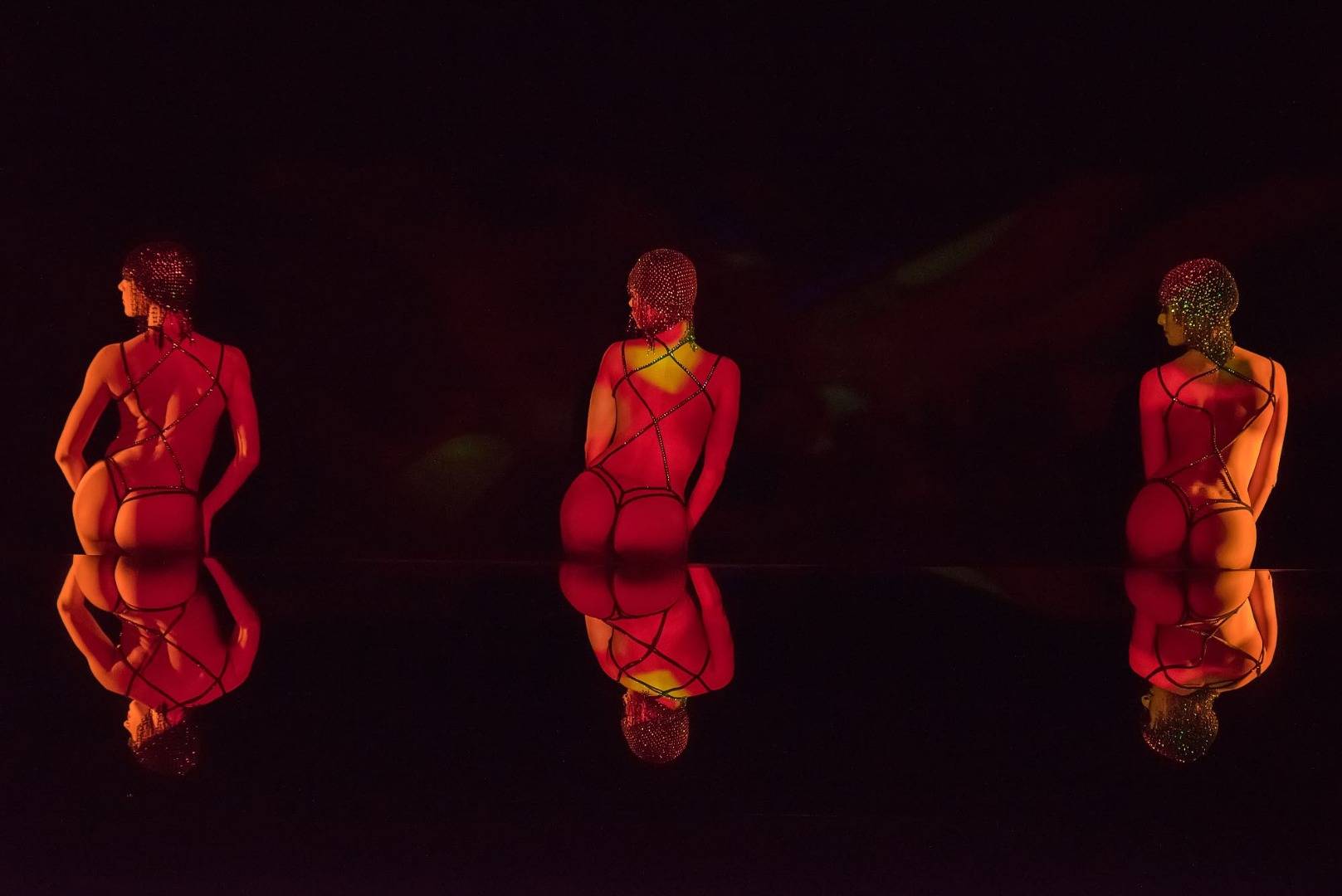 Le Crazy Horse (Spectacle Seul)