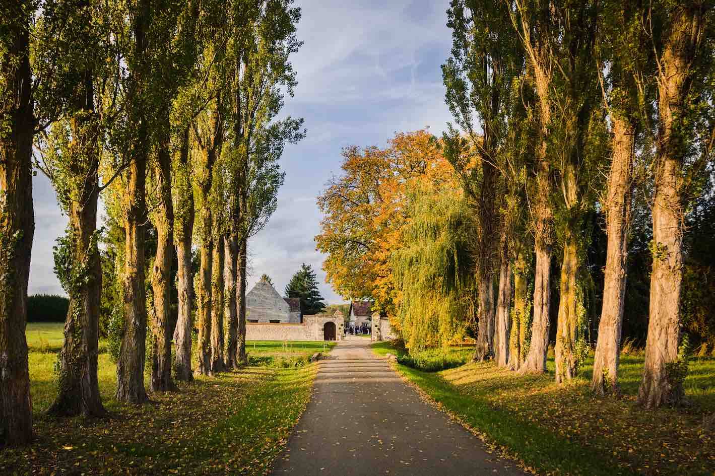 Domaine de la Thibaudière