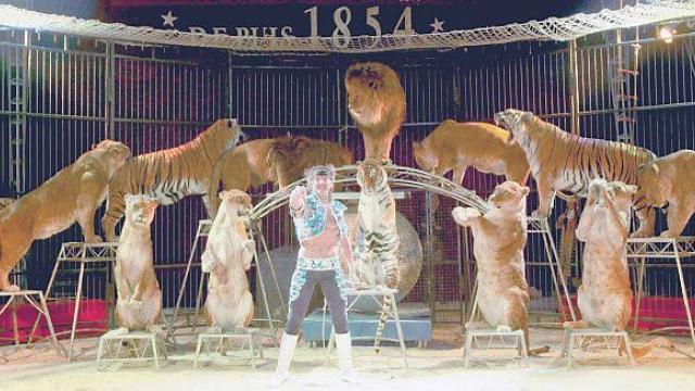 Le Cirque Pinder spectacle pour enfants à Paris | Be Noé Le Cirque Pinder spectacle pour enfants à Paris | Be Noé